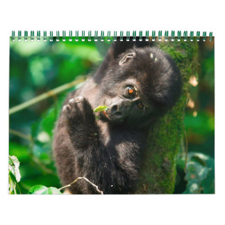 Ugandas bergsGorillas Kalender