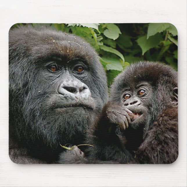 Ugandisk mor- & babygorilla musmatta (Framsidan)