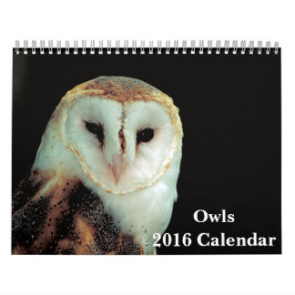 Uggla 2016-kalender kalender