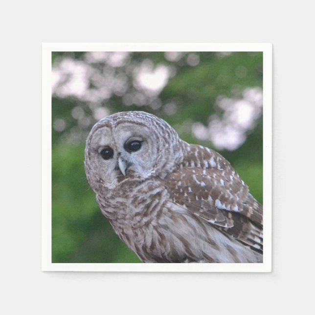 Uggla anda pappersservett (Framsidan)
