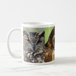 Uggla Animal Birds Nature Park Träd Harmony Destin Kaffemugg