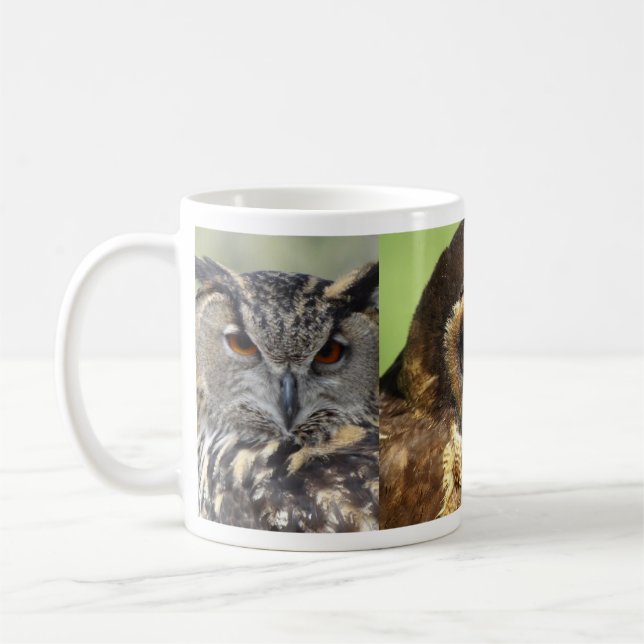 Uggla Animal Birds Nature Park Träd Harmony Destin Kaffemugg (Vänster)