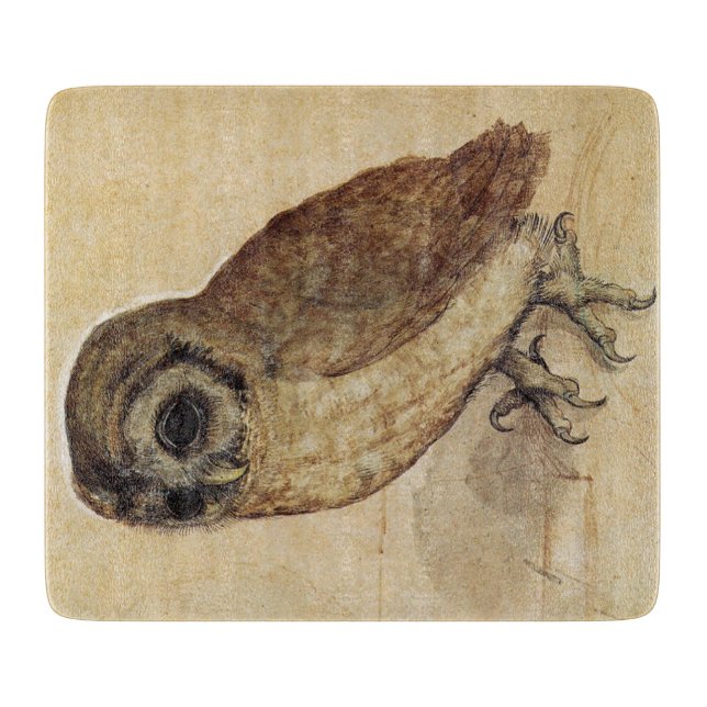 Uggla (av Albrecht Durer) (Framsidan)
