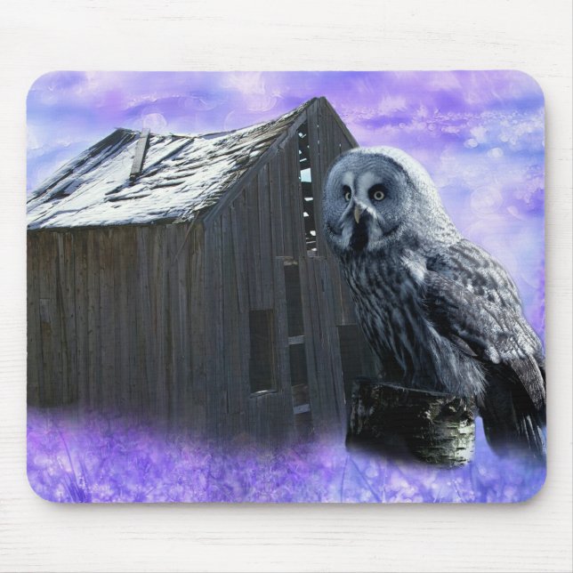 Uggla Barn Shed Musmatta (Framsidan)