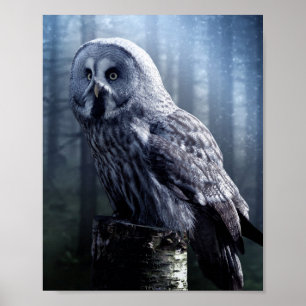 Uggla Bird Animal Woodland Forest Poster