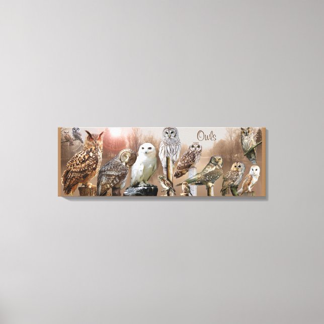 Uggla Canvastryck (Framsida)