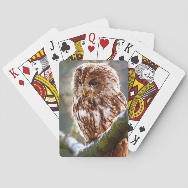 Uggla Casinokort (Baksidan)
