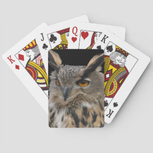 Uggla Casinokort