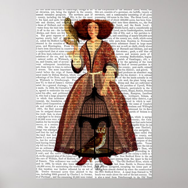 Uggla Dam Poster (Framsidan)