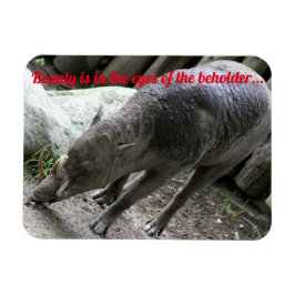 Uggla djur, Babirusa Magnet