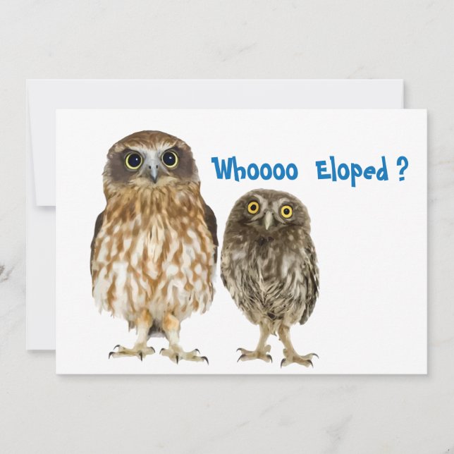 Uggla Duo som utvandrade Meddelande (Framsida)