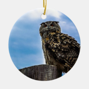 Uggla Fågel Fjädrar Djur Natur Öde Fred Kärlek Julgransprydnad Keramik