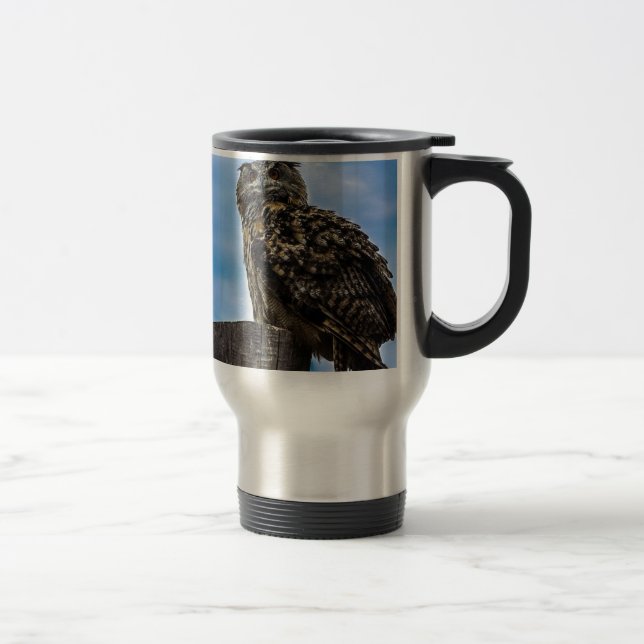 Uggla Fågel Fjädrar Djur Natur Öde Fred Kärlek Resemugg (Höger)