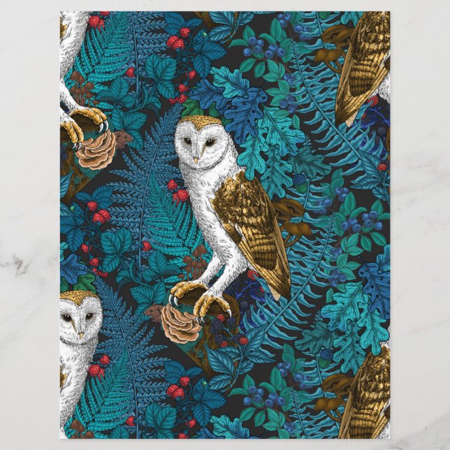 Uggla, ferner, ek och bär 3 (Framsida)