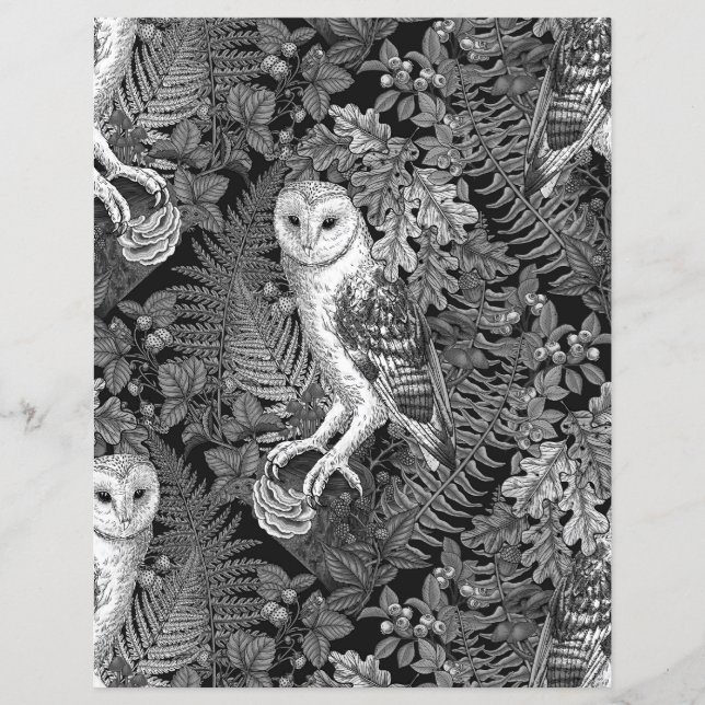 Uggla, ferner, ek och bär 4 (Framsida)