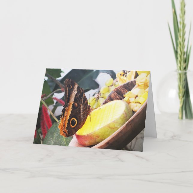 Uggla-fjäril Helgkort (Framsida)