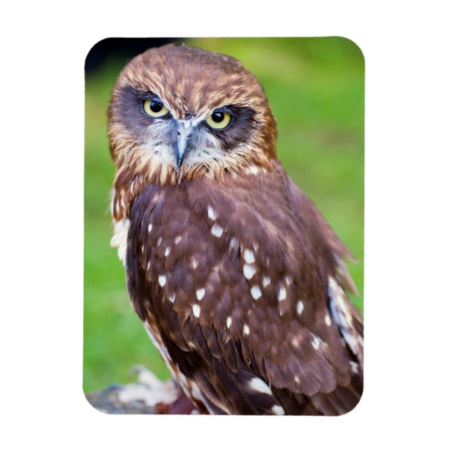 Uggla Flexible magnet (Vertikal)