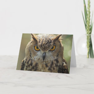 Uggla-fotohälsningskort Kort
