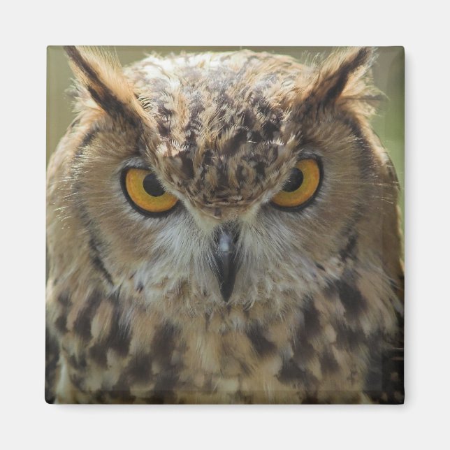 Uggla fotokvadrat, magnet (Framsidan)