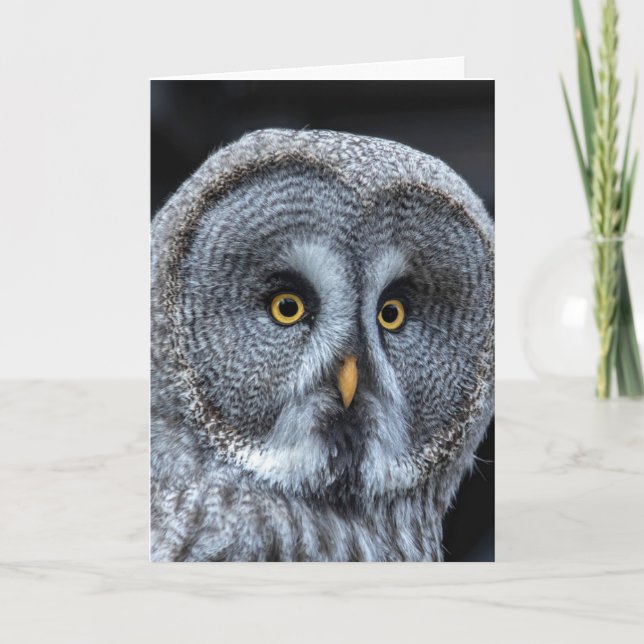 UGGLA FUNNY CUTE BIRTHDAY CARD KORT (Framsida)