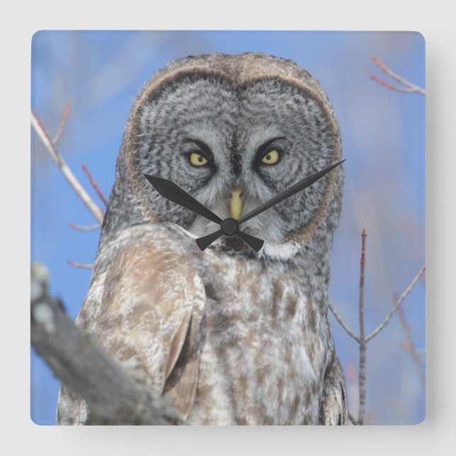 Uggla Fyrkantig Klocka (Framsida)