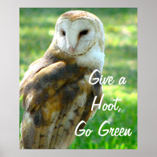 Uggla Ge A Hoot Poster