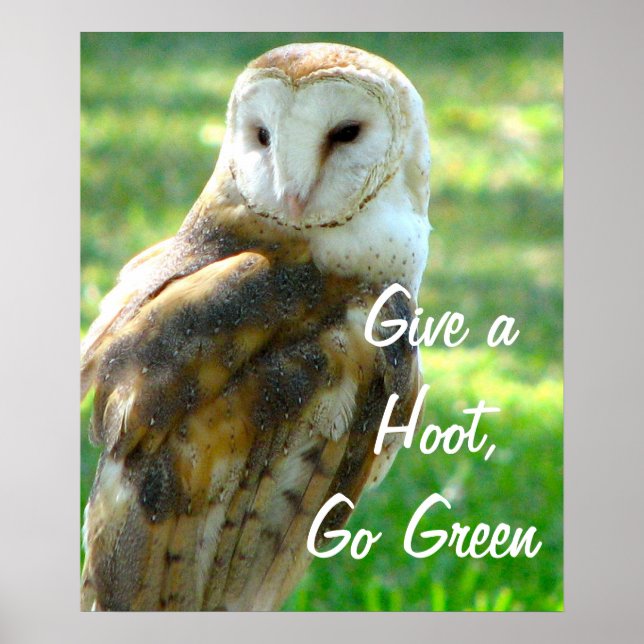Uggla Ge A Hoot Poster (Framsidan)