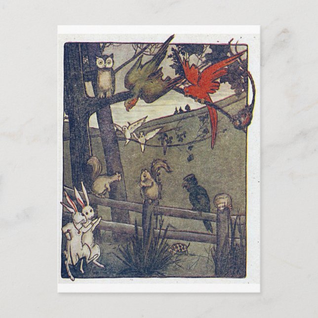 Uggla Ge A Party Vykort (Framsida)