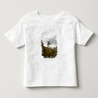 Uggla Head fyr på en molnig dag T Shirt