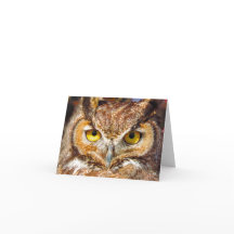 Uggla Head - Ögon (Underbara hornen Uggla)