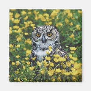 Uggla i Buttercups Magnet
