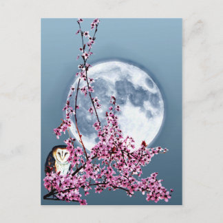 Uggla i Plum Träd Vykort