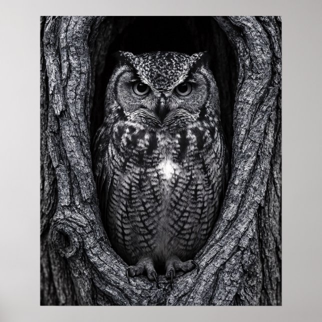 Uggla i Träd Hollow Black and White Poster (Framsidan)
