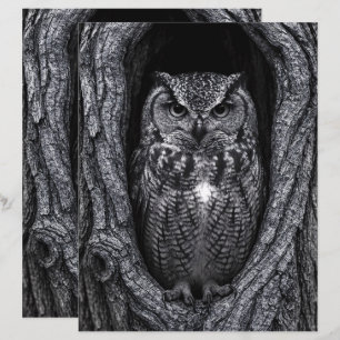 Uggla i Träd Hollow Black and White Scrapbook Papp