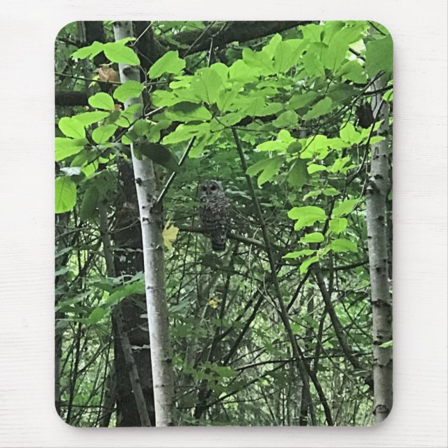 Uggla i Träd, Oregon Musmatta (Framsidan)