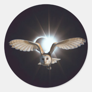 Uggla i yttre rymden runt klistermärke