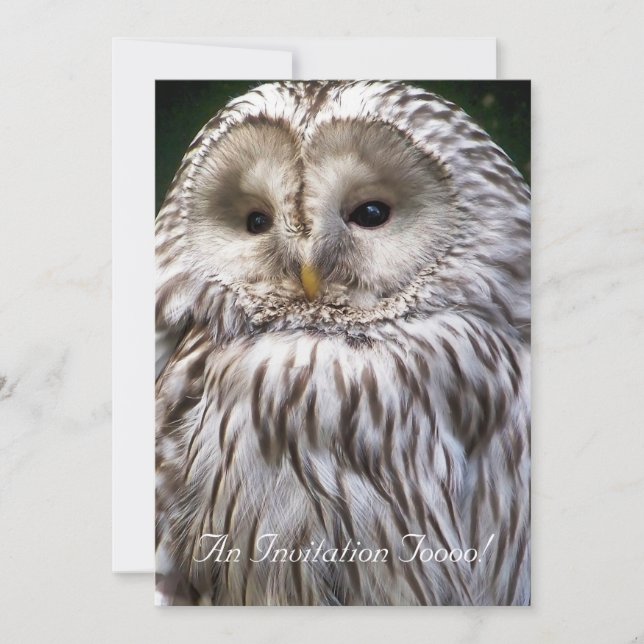 UGGLA INBJUDNINGAR (Framsida)