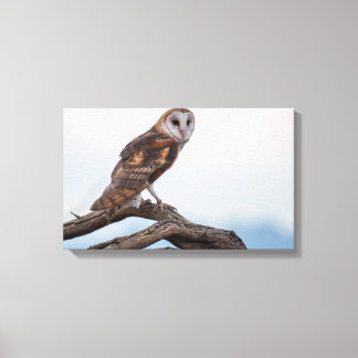Uggla inlindad i canvas