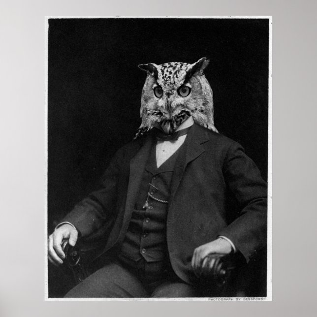 Uggla Inventor Poster (Framsidan)