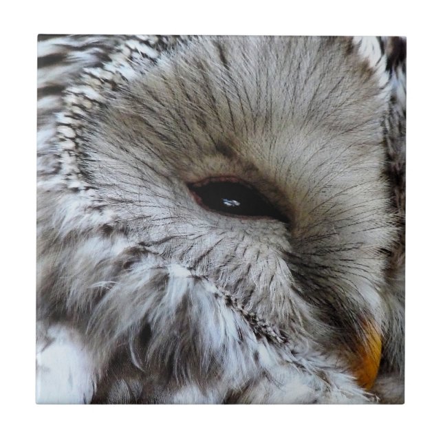 UGGLA KAKELPLATTA (Framsidan)