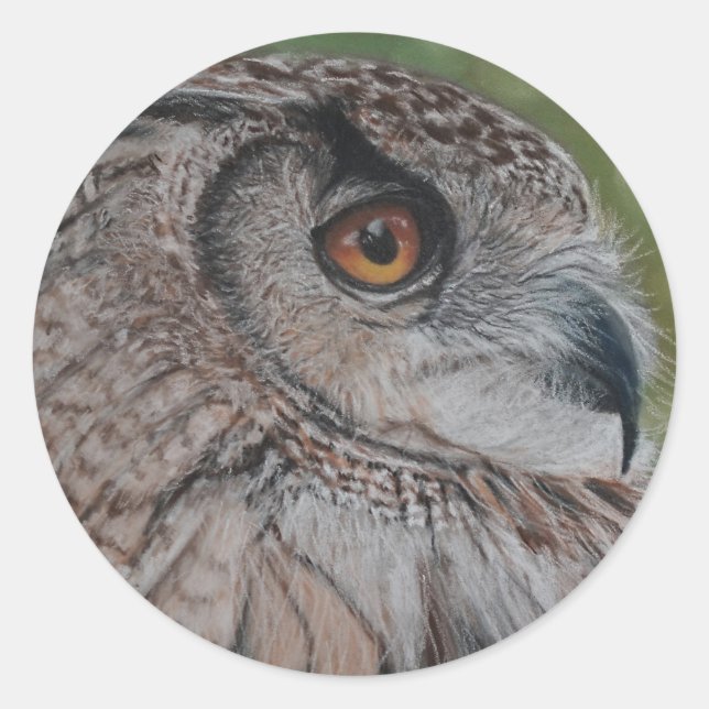 Uggla klistermärken (Framsida)