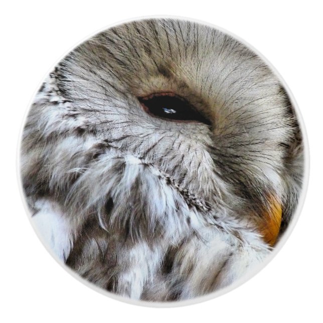 UGGLA KNOPP (Framsidan)