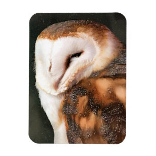 UGGLA MAGNET