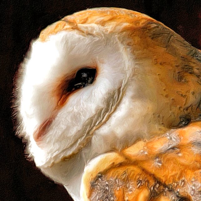 UGGLA MAGNET (A beautiful soft artistic watercolor of a Barn Owl.)