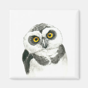 Uggla Magnet