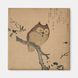 Uggla & Magnolia: Japansk Ukiyo-e magnet