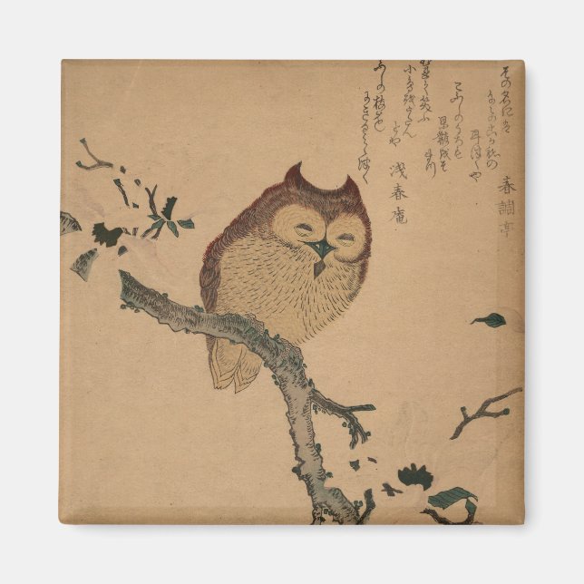 Uggla & Magnolia: Japanska Ukiyo-e Magnet (Framsidan)