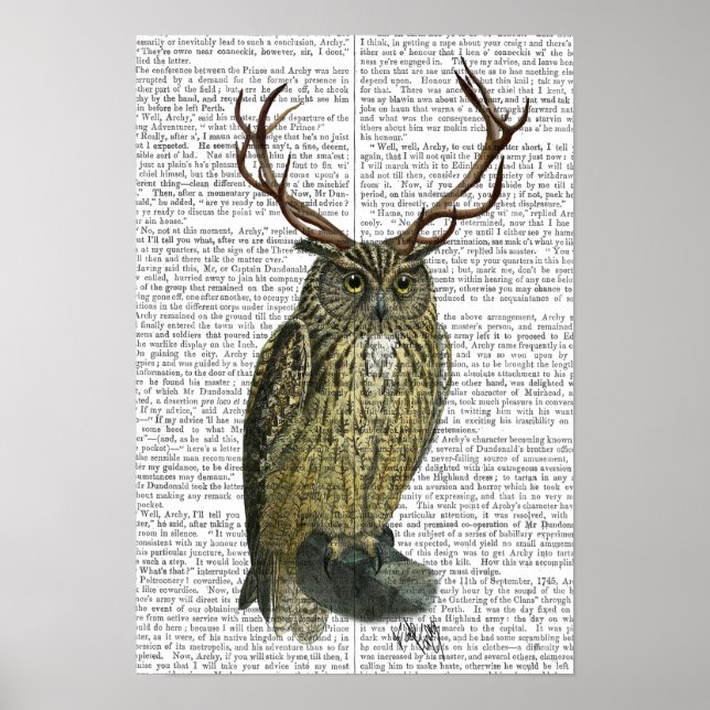 Uggla med Antlers Poster (Framsidan)