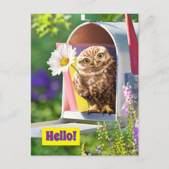 Uggla med blomning i postlåda inbjudan vykort (Framsida)