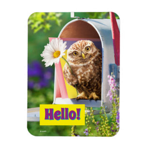 Uggla med blomning i postlåda magnet